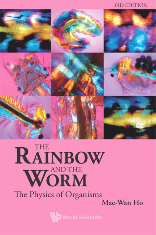 The Rainbow And The Worm: The Physics Of Organisms (3rd Edition): The Physics of Organisms - 3rd Edition