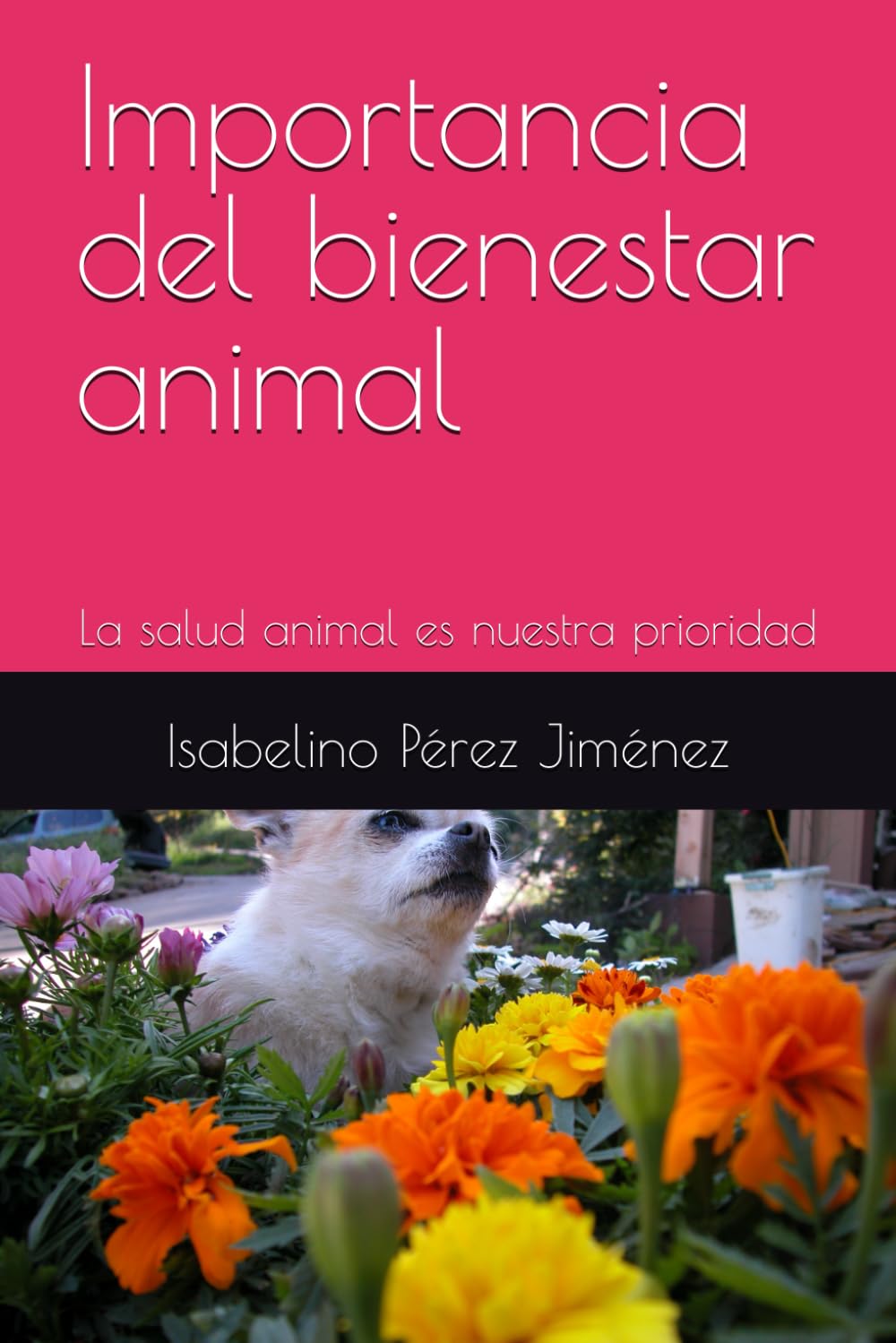 Importancia del bienestar animal: La salud animal es nuestra prioridad (Spanish Edition)
