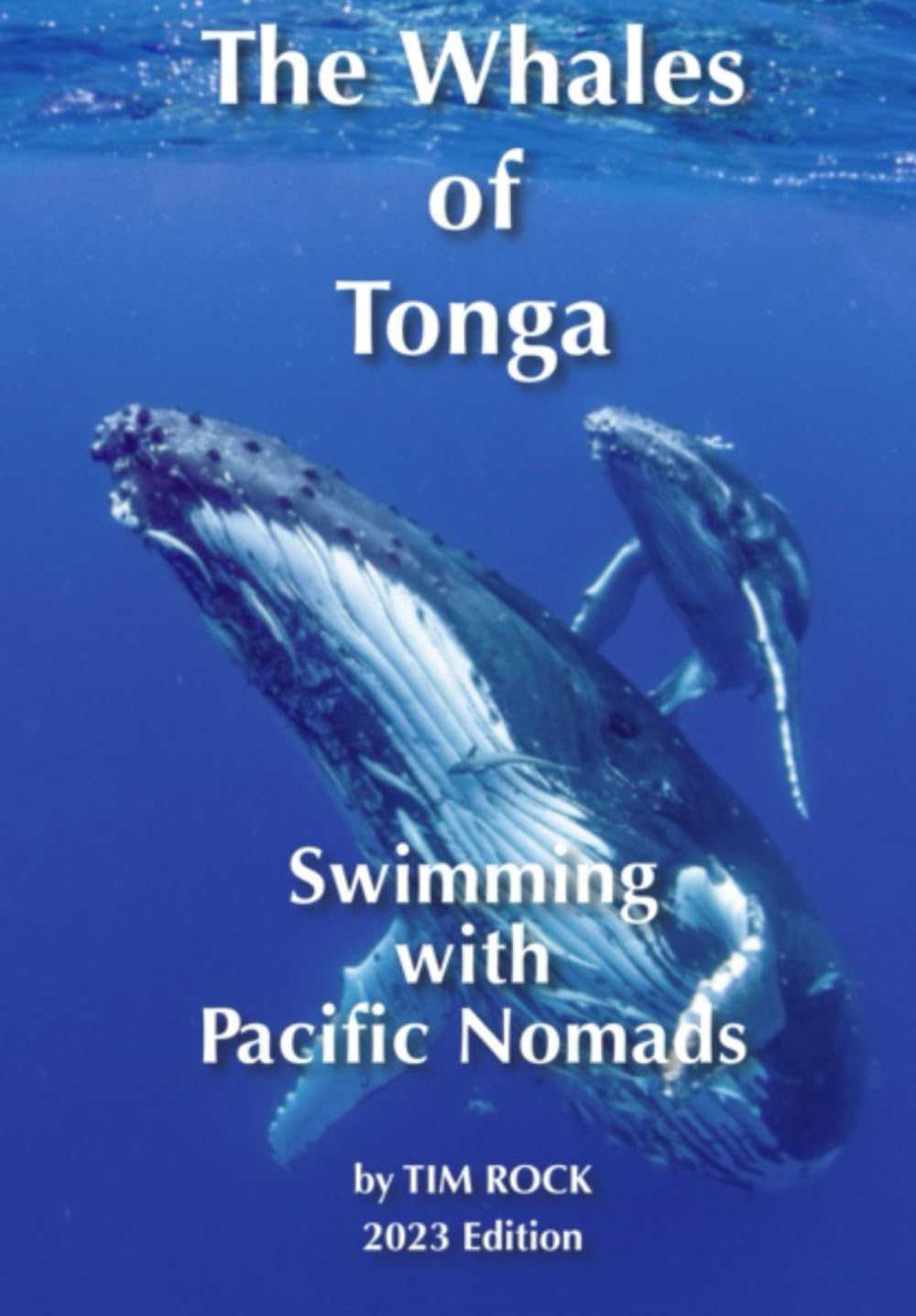 The Whales of Tonga: swimming with Pacific Nomads