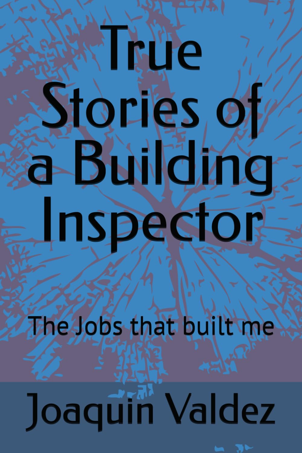 True Stories of a Building Inspector: The Jobs that built me