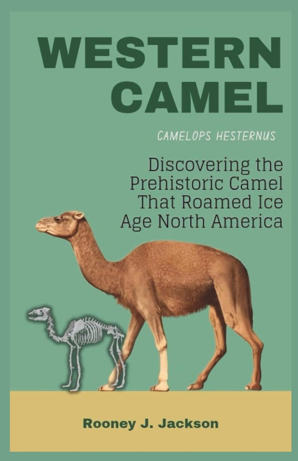 WESTERN CAMEL- Camelops hesternus: Discovering the Prehistoric Camel That Roamed Ice Age North America (Animal Fossils)