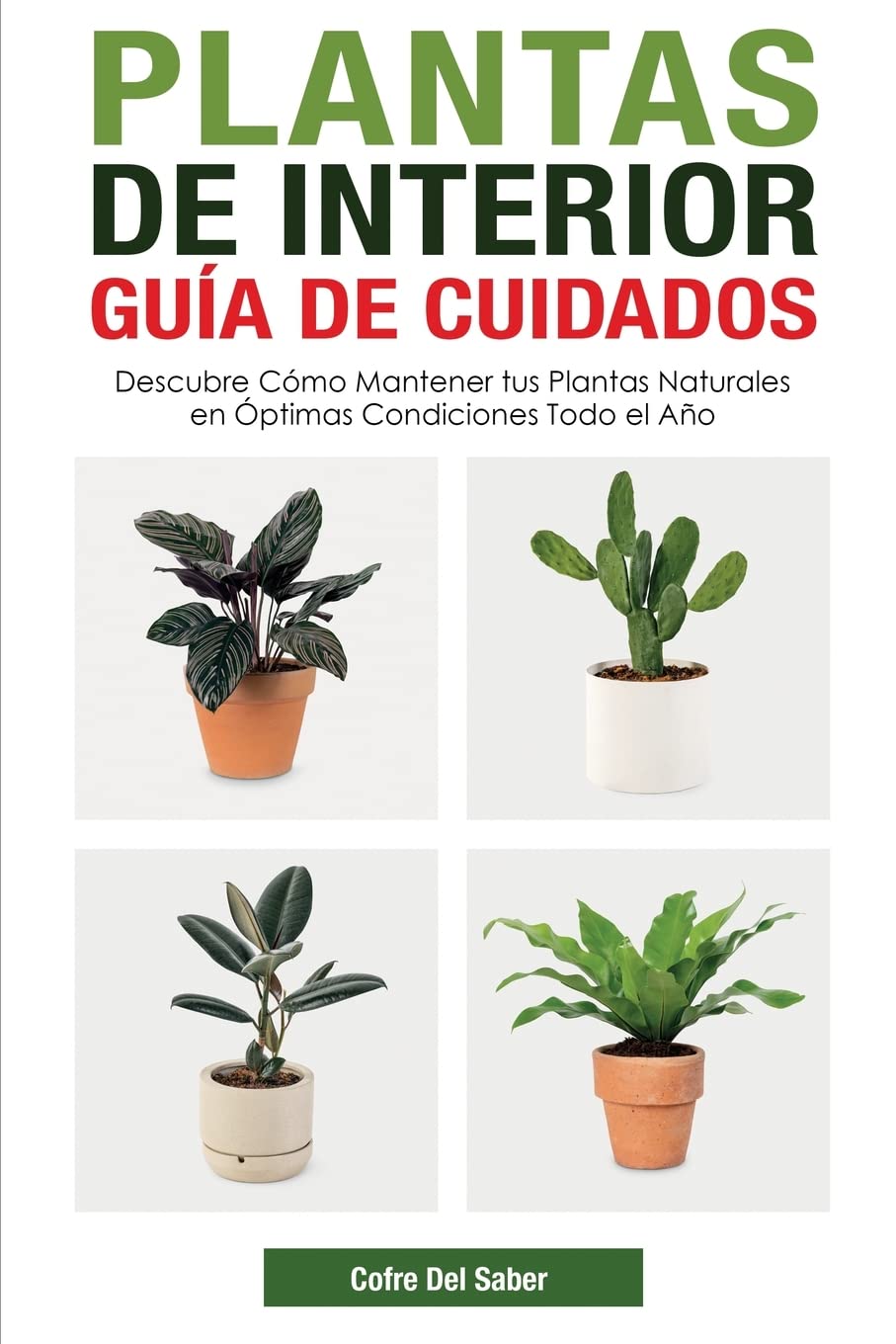 Plantas de Interior - Guía de Cuidados: Descubre Cómo Mantener tus Plantas Naturales en Óptimas Condiciones Todo el Año (Spanish Edition)