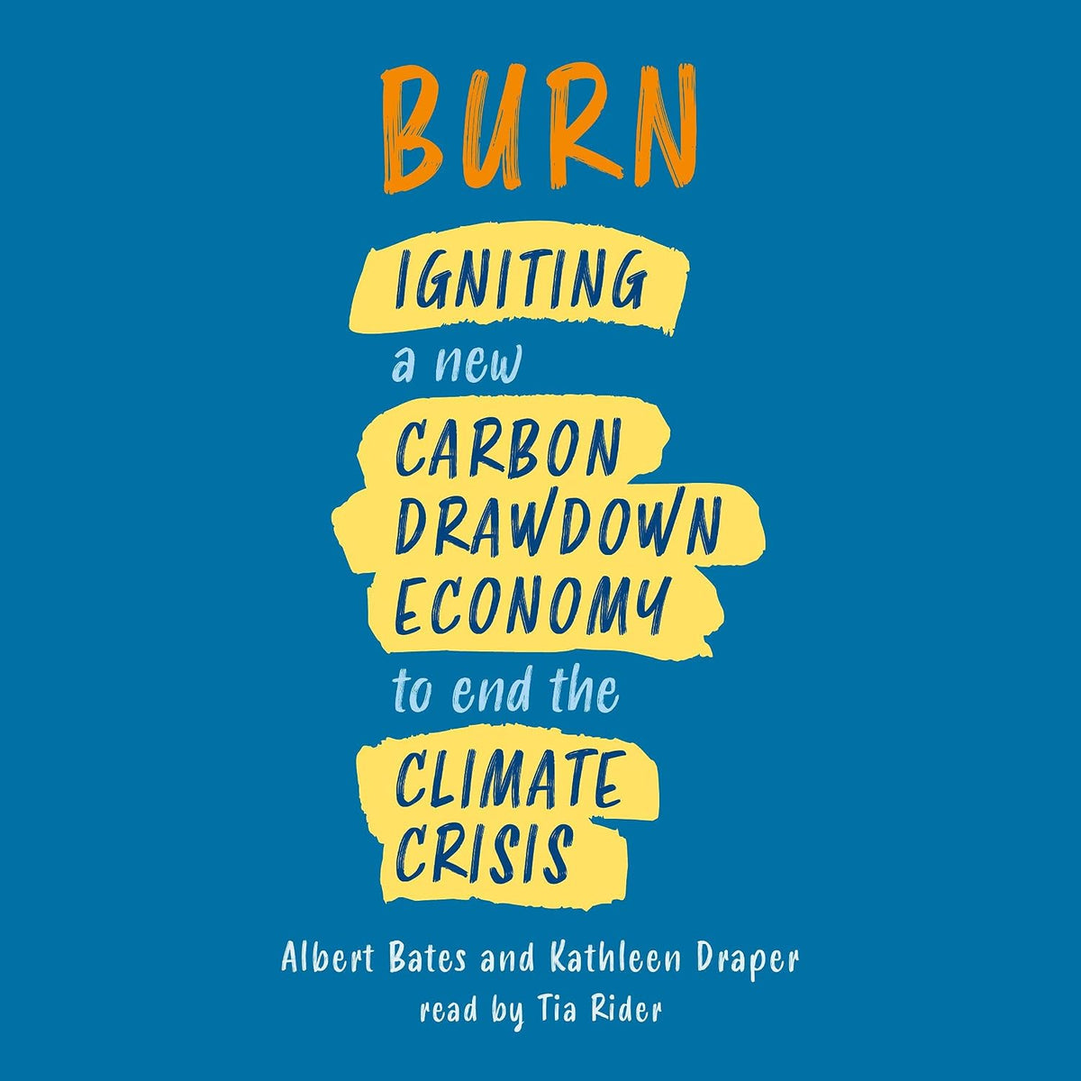 Burn: Using Fire to Cool the Earth