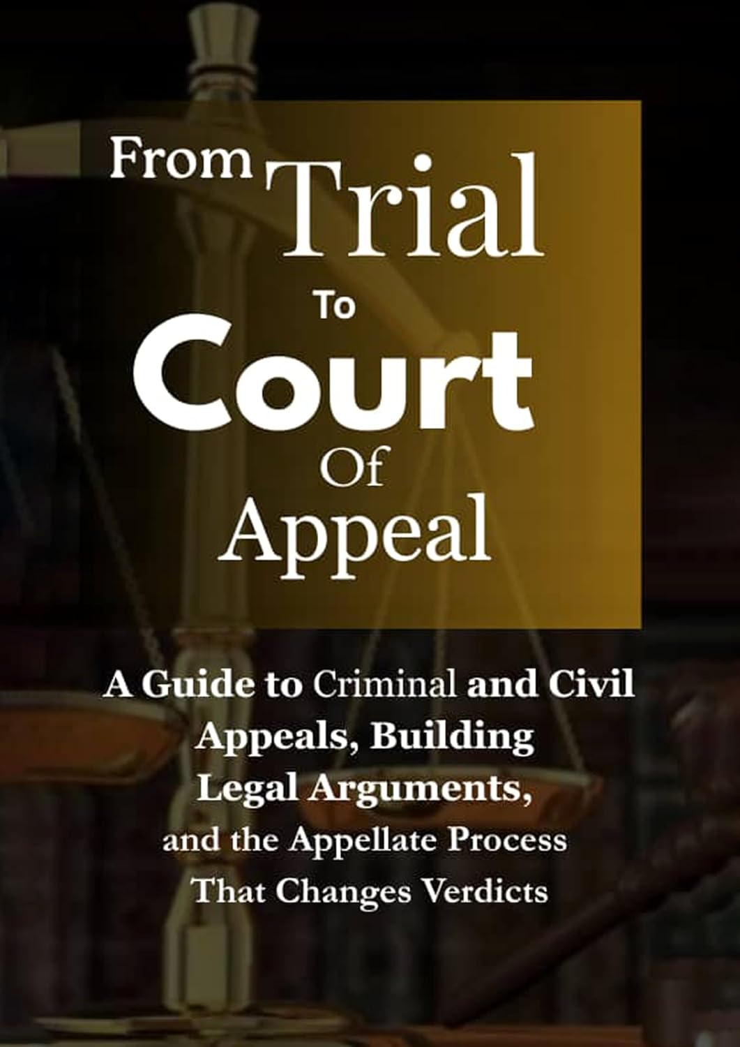From Trial To Court Of Appeal: A Guide to Criminal and Civil Appeals, Building Legal Arguments, and the Appellate Process That Changes Verdicts