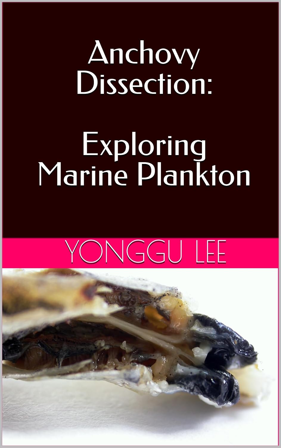 Anchovy Dissection: Exploring Marine Plankton