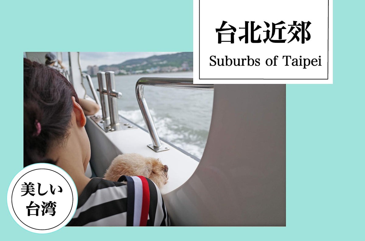 taiwan taipei travel (Japanese Edition)