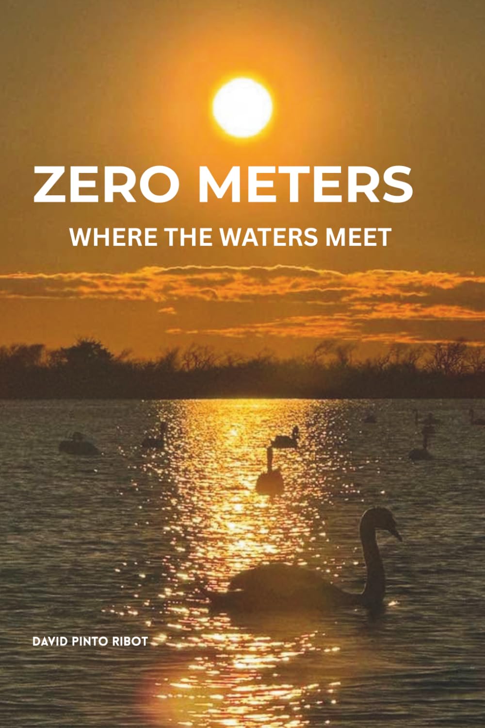 ZERO METERS: WHERE THE WATERS MEET