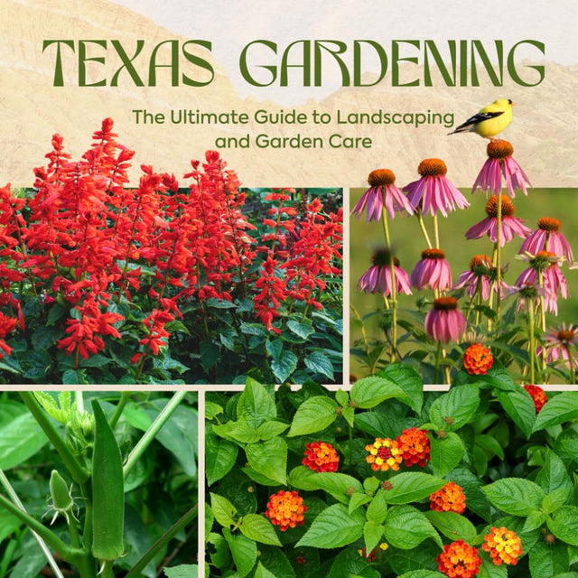 Texas Gardening: The Ultimate Guide to Landscaping and Garden Care