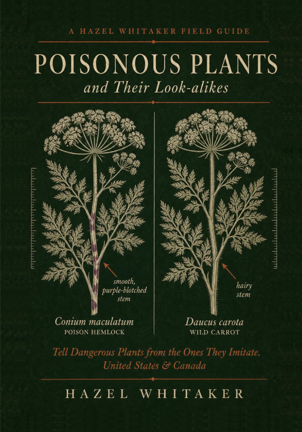 Poisonous Plants and Their Look-alikes: Tell Dangerous Plants from the Ones They Imitate. United States & Canada