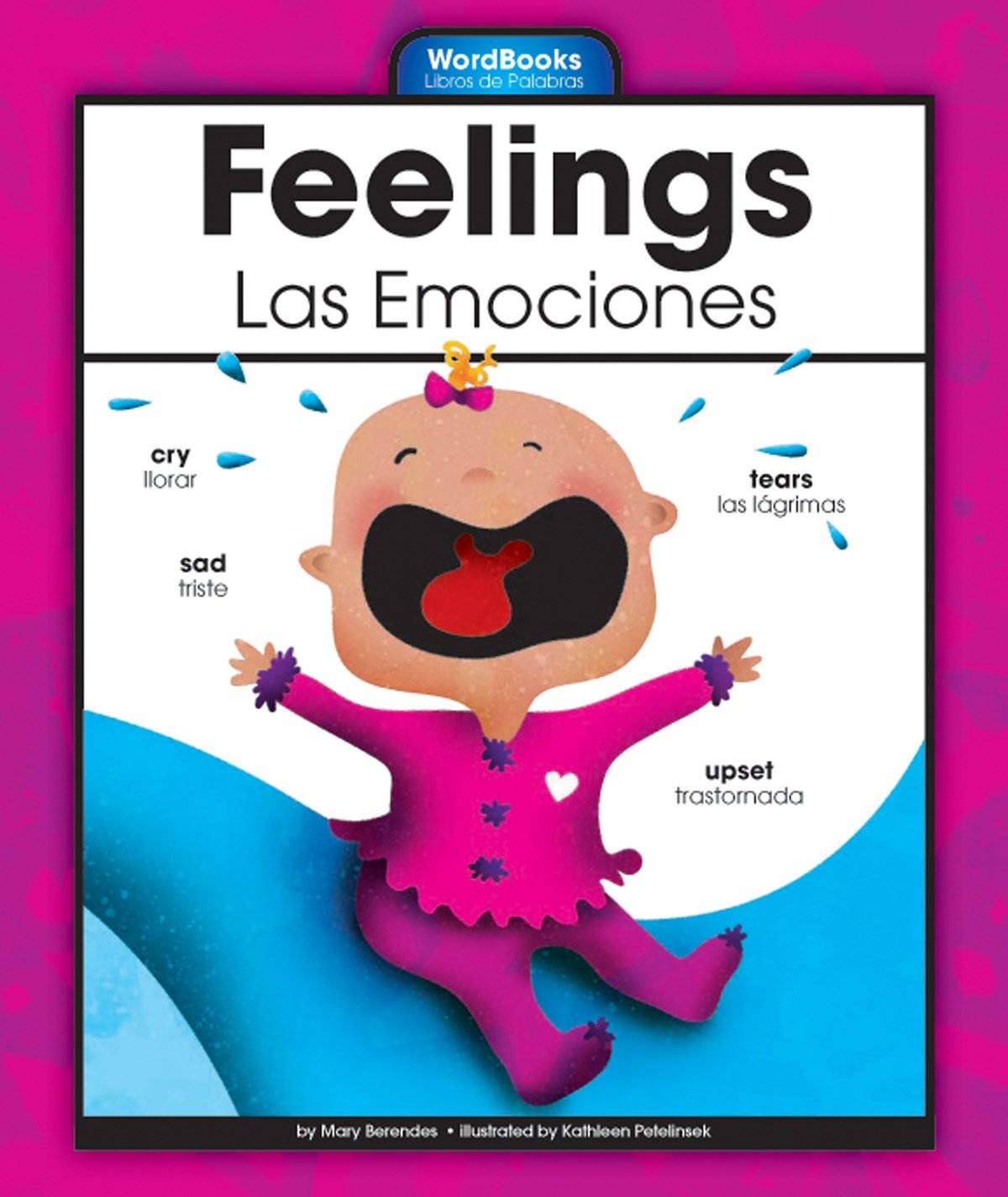 Feelings/Las Emociones (WordBooks/Libros de Palabras)