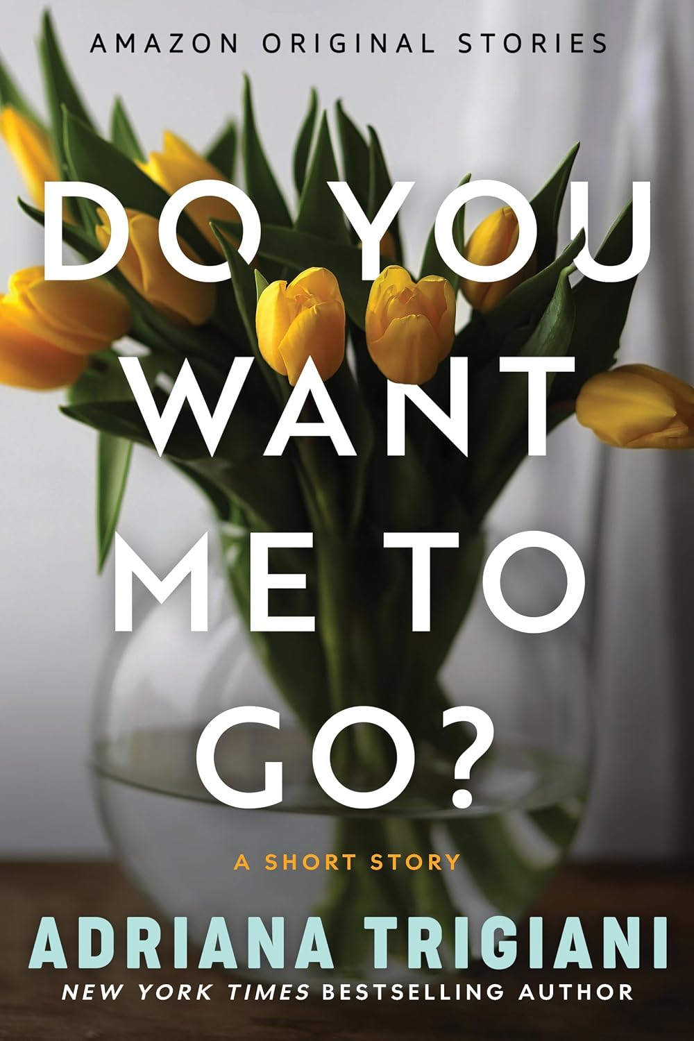 Do You Want Me to Go?: A Short Story