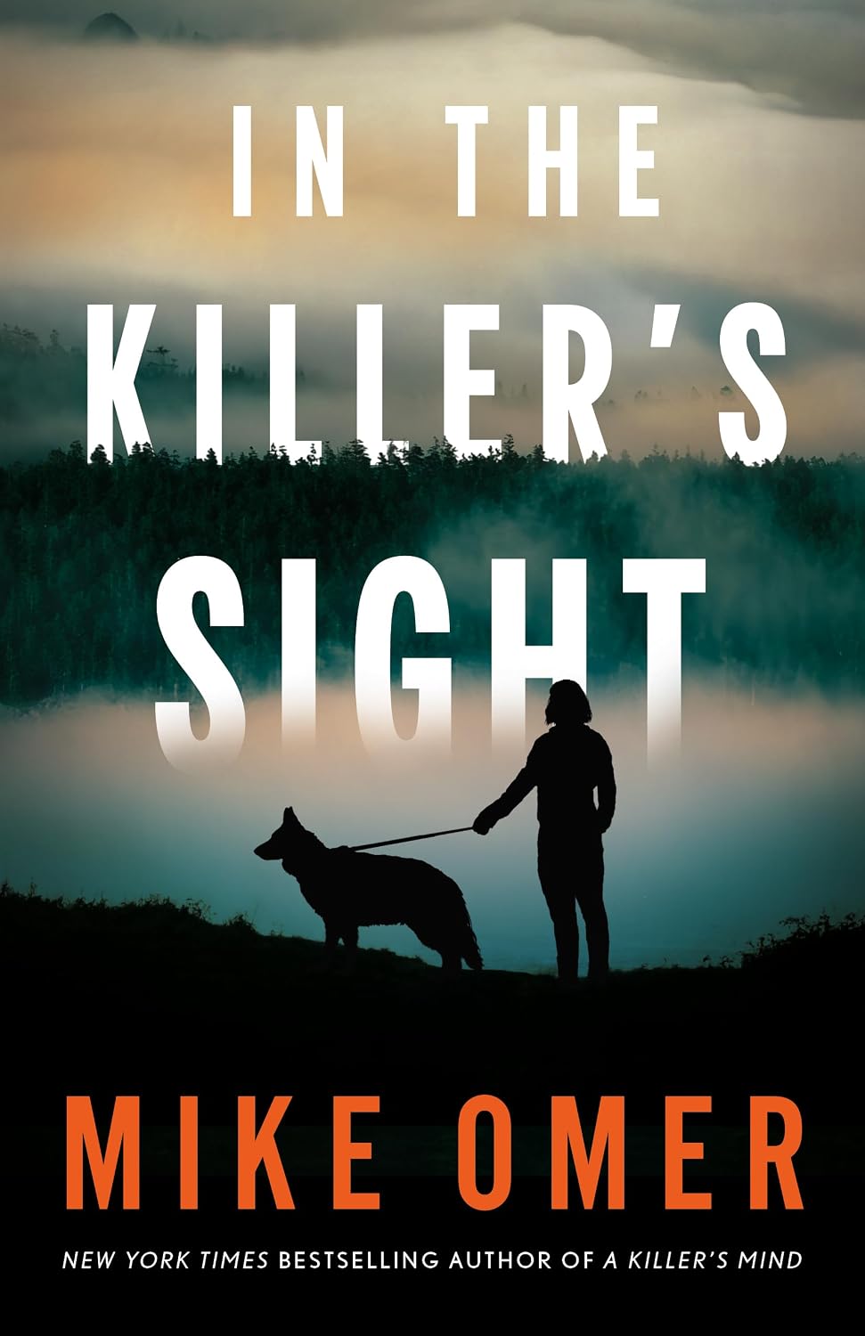 In the Killer's Sight (Kate Marino Thrillers Book 1)