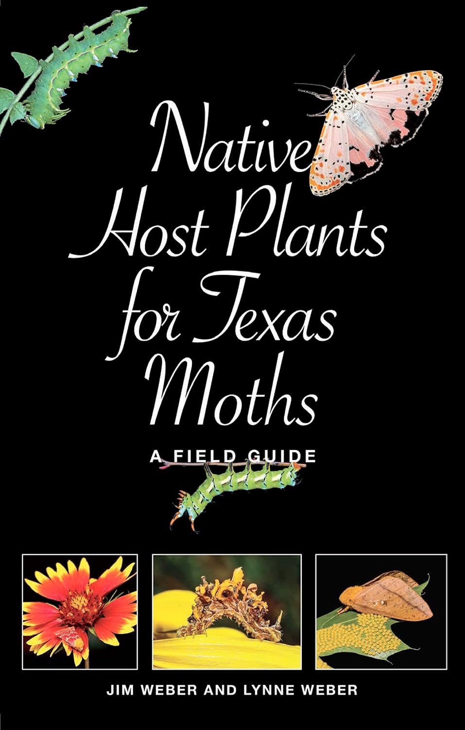 Native Host Plants for Texas Moths: A Field Guide (Myrna and David K. Langford Books on Working Lands)