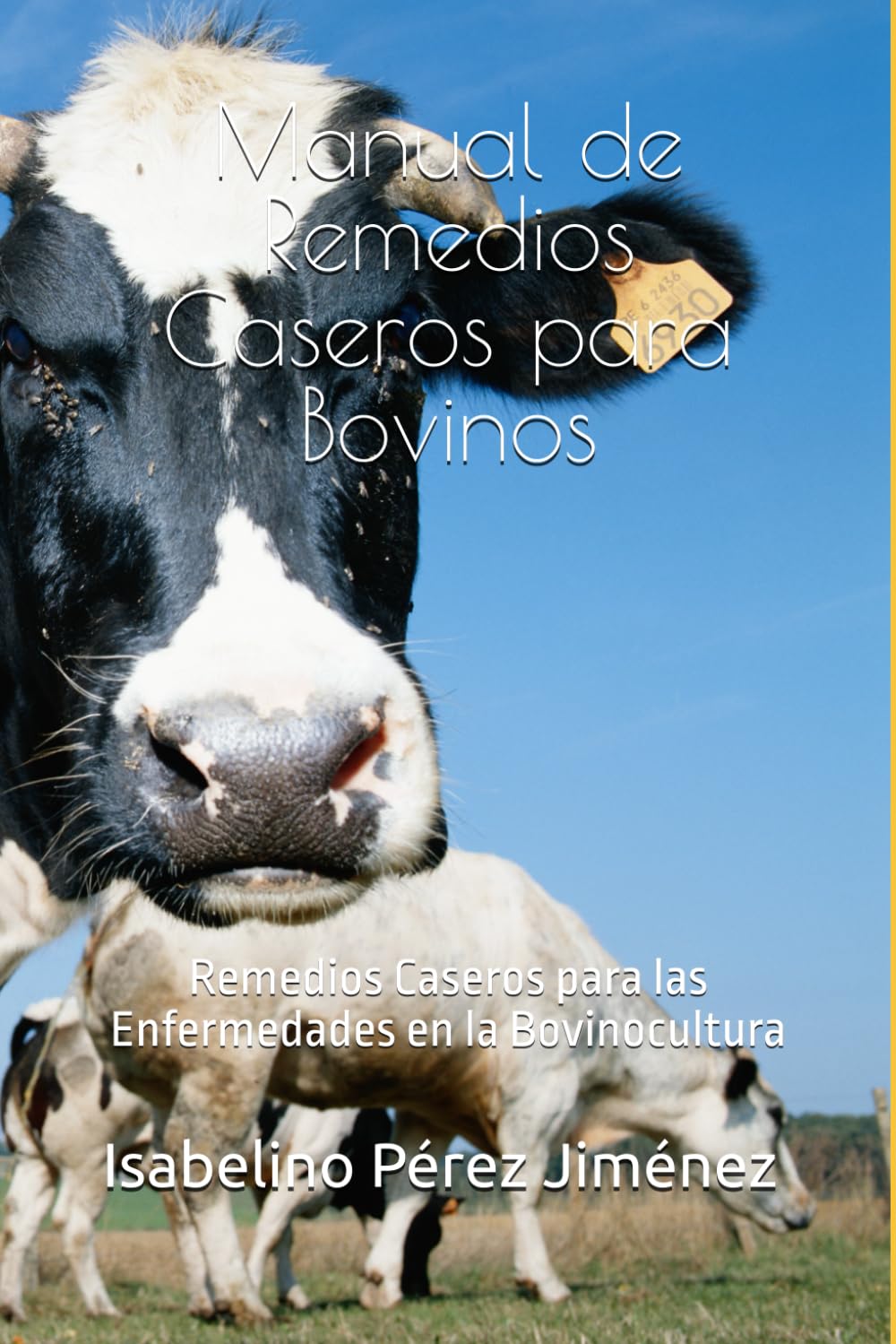 Manual de Remedios Caseros para Bovinos: Remedios Caseros para las Enfermedades en la Bovinocultura (Spanish Edition)