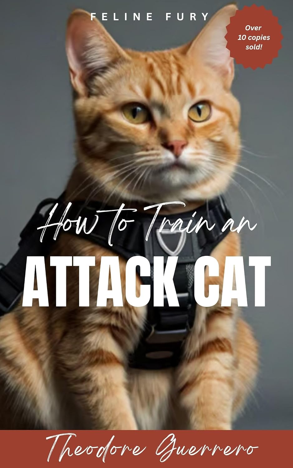 Feline Fury: How to Train an Attack Cat