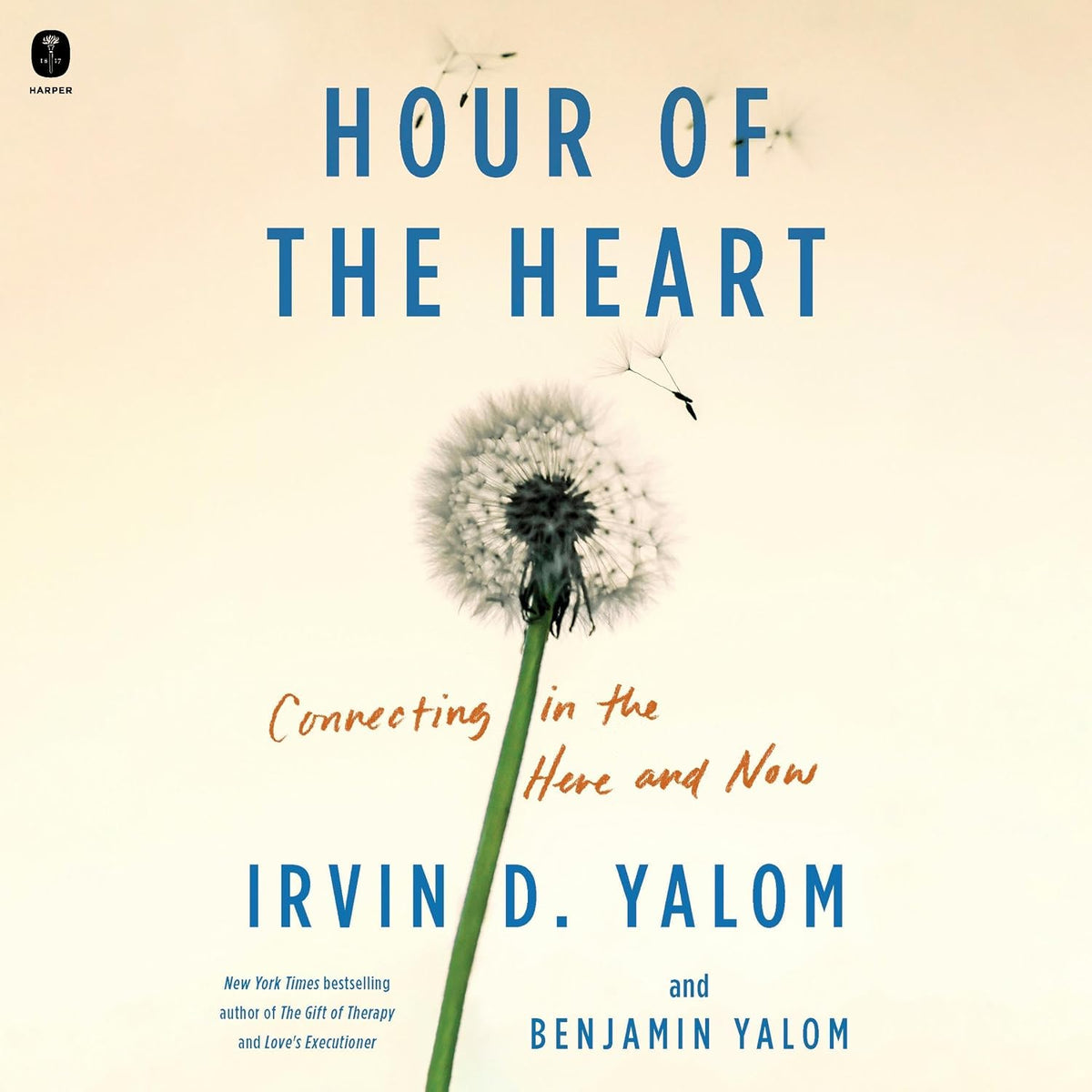 Hour of the Heart: Connecting in the Here and Now