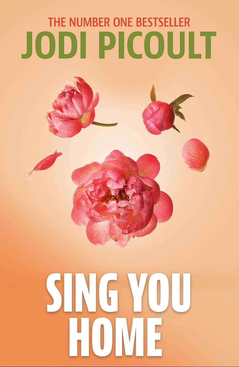 Sing You Home: The heartbreaking and moving story you will not be able to put down by the number one bestselling author of My Sister's Keeper