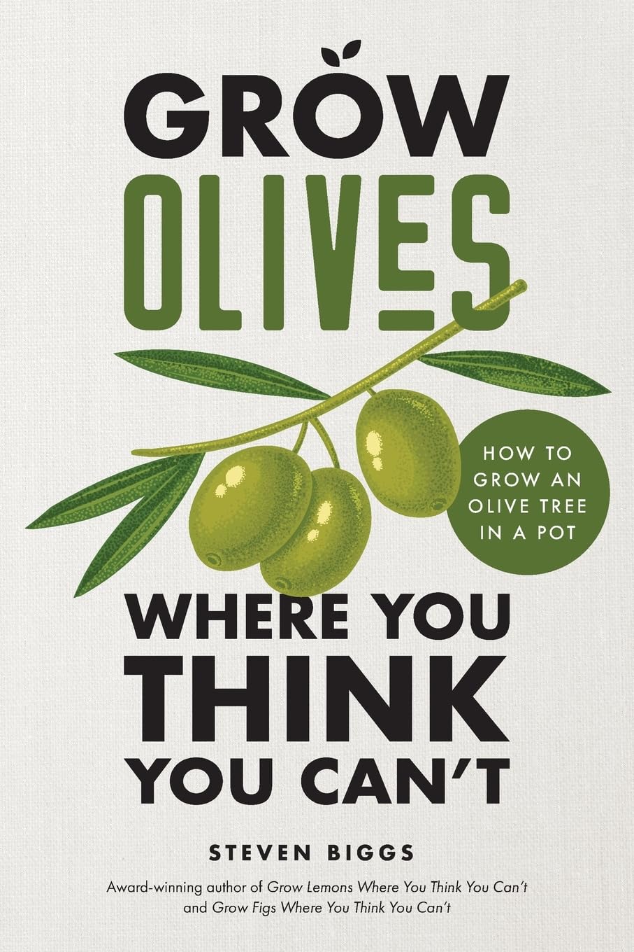 Grow Olives Where You Think You Can’t: How to Grow an Olive Tree in a Pot