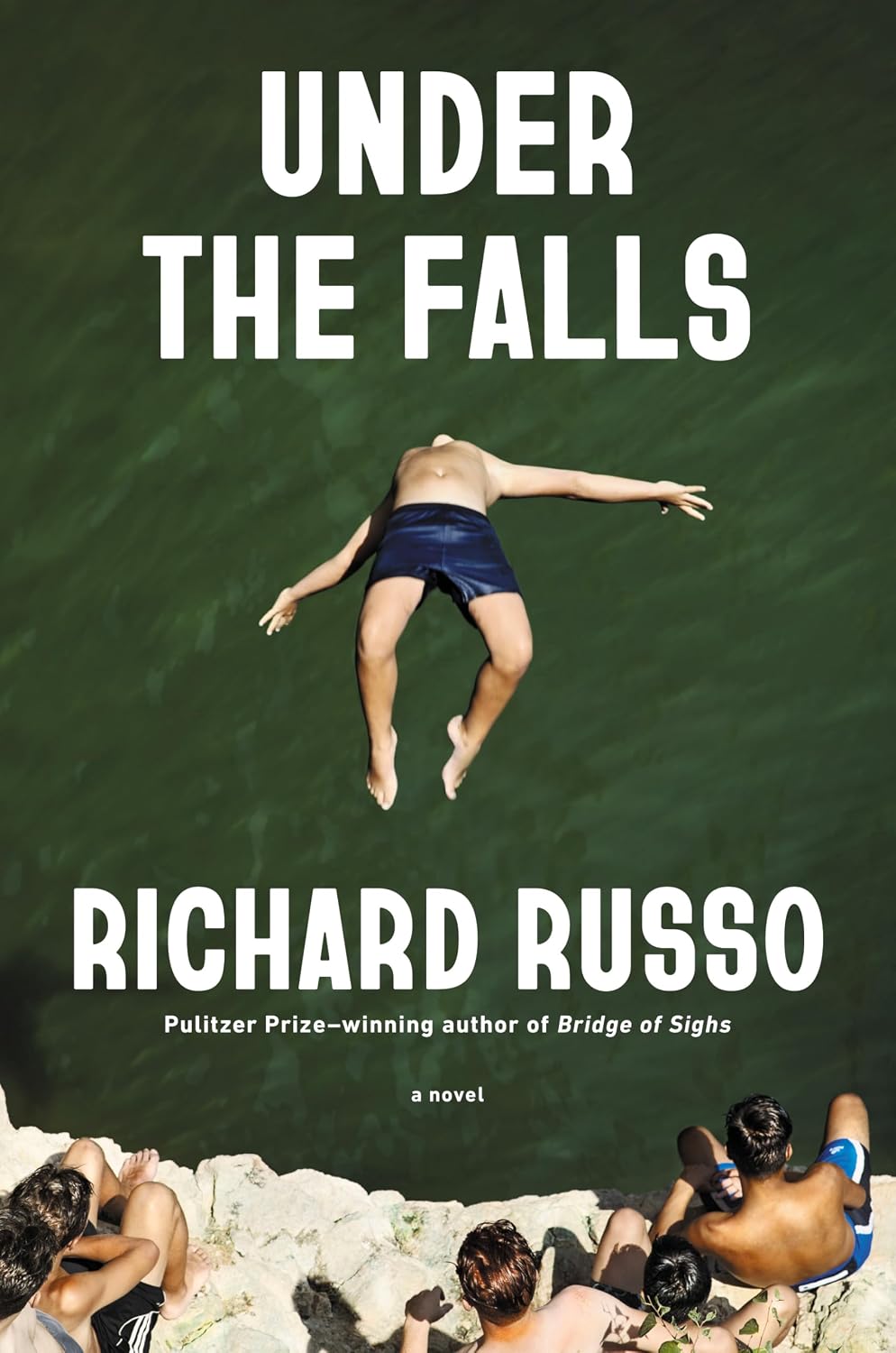 Under the Falls: A Novel