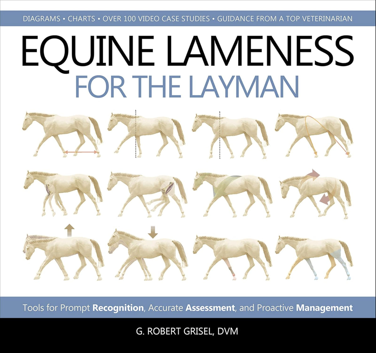 Equine Lameness for the Layman: Tools for Prompt Recognition, Accurate Assessment, and Proactive Management