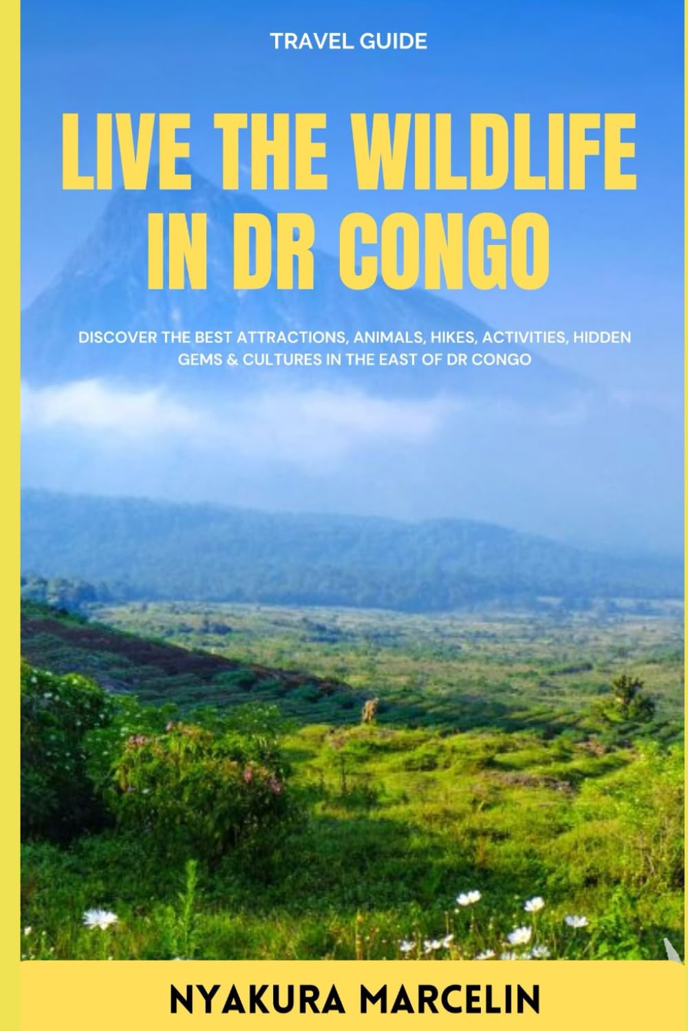 Live the WildLife in DR Congo: Discover the Best Attractions, Animals, Hikes, Activities, Hidden Gems & Cultures in the East of DR Congo