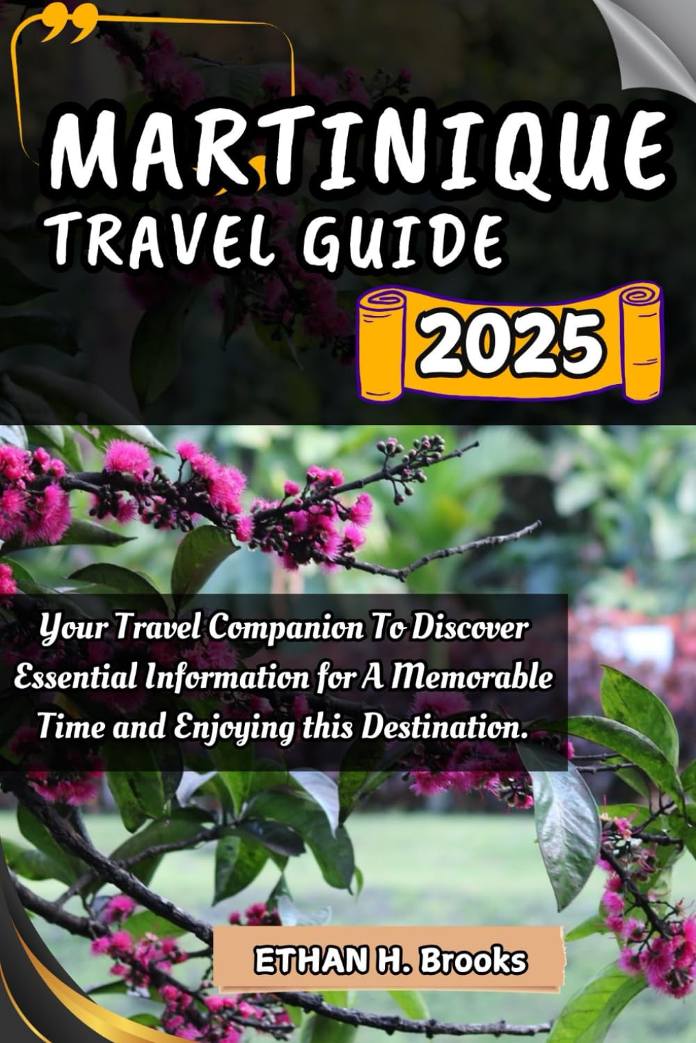 MARTINIQUE TRAVEL GUIDE 2025: Your Travel Companion To Discover Essential Information for A Memorable Time and Enjoying this Destination. (The ... Exploring the World's Best Destinations)