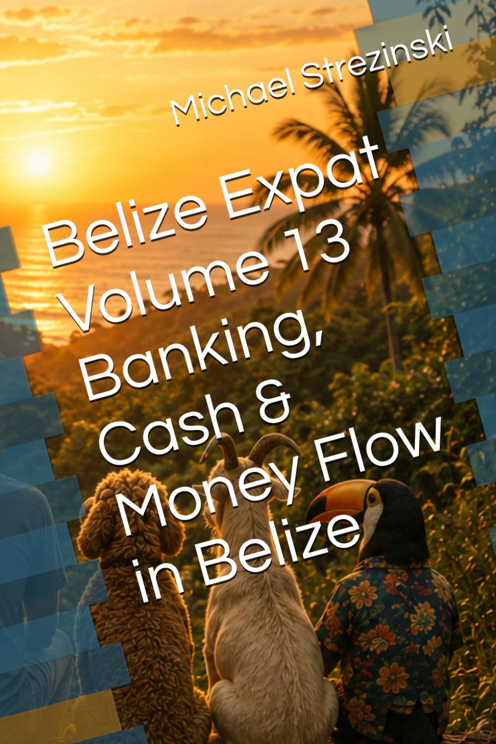 Belize Expat Volume 13 Banking, Cash & Money Flow in Belize (The Belize Expat Reference Series)