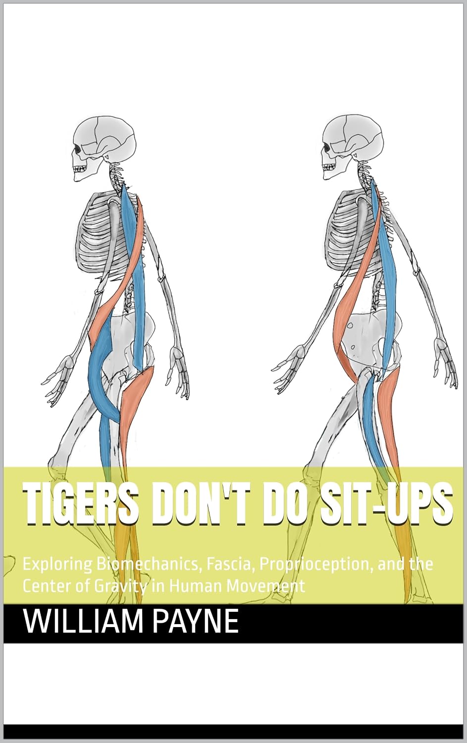 Tigers Don't Do Sit-ups: Rethinking Strength, Mobility, Posture, and Pain-Free Human Movement