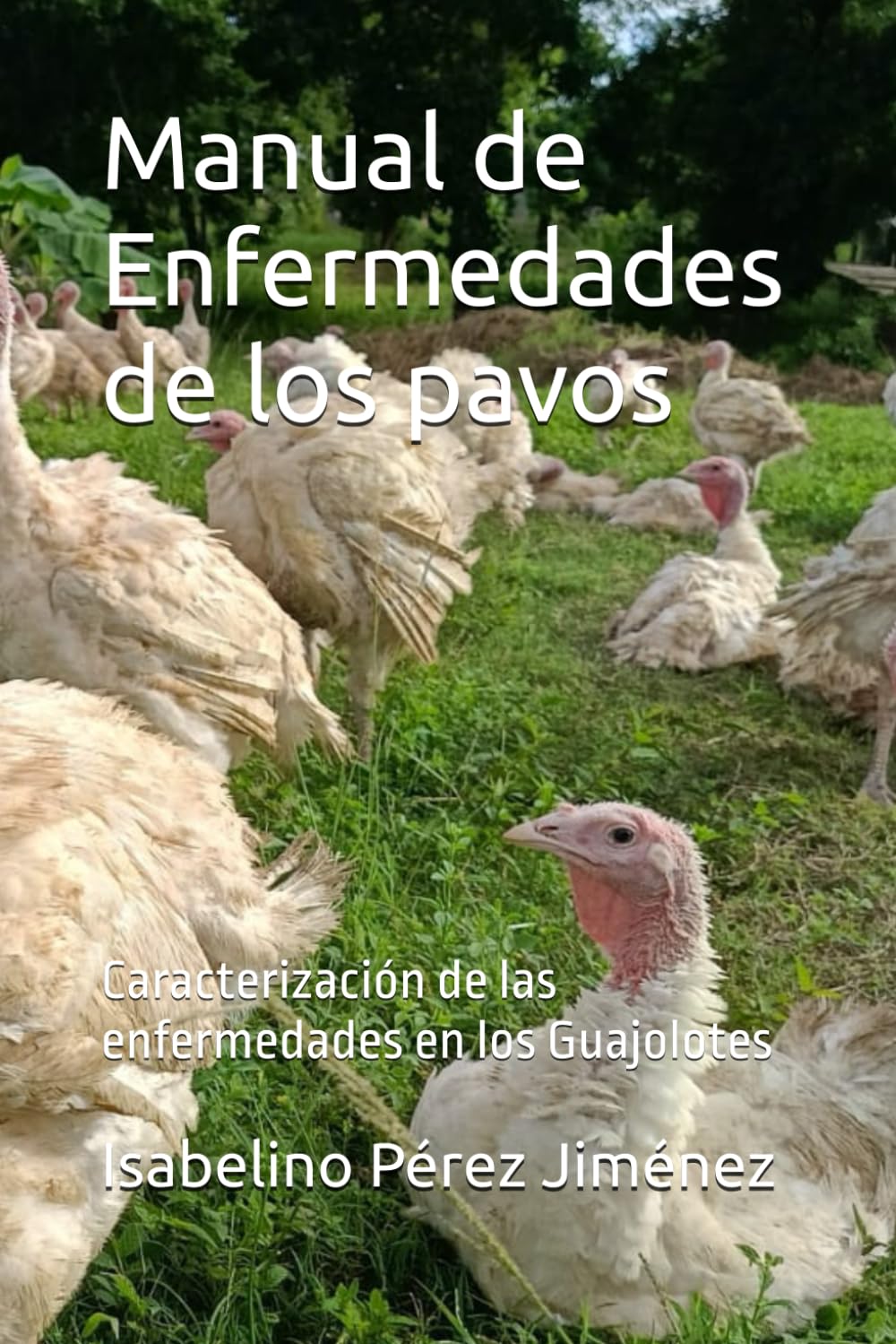 Manual de Enfermedades de los pavos: Caracterización de las enfermedades en los Guajolotes (Spanish Edition)
