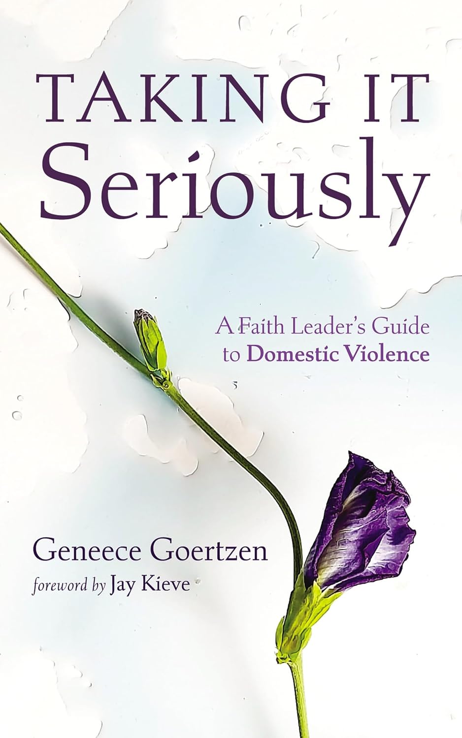 Taking It Seriously: A Faith Leader’s Guide to Domestic Violence