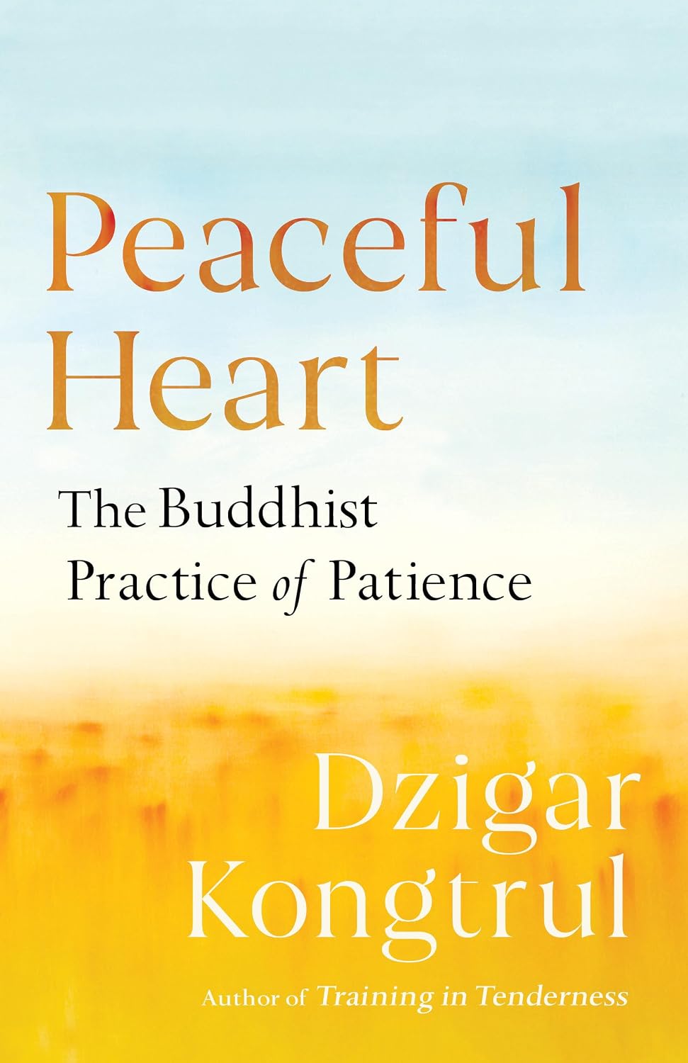 Peaceful Heart: The Buddhist Practice of Patience