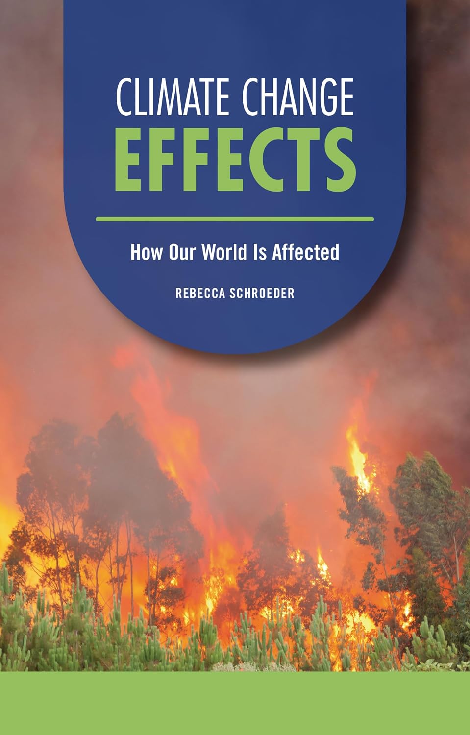 Climate Change Effects: How Our World Is Affected (Focus on Climate Change)