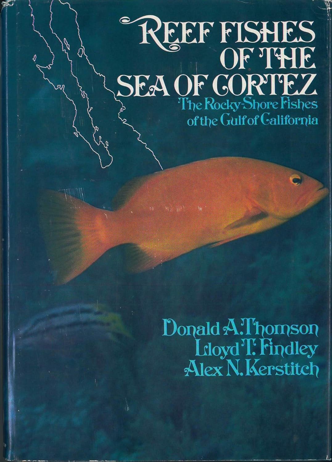 Reef Fishes of the Sea of Cortez: Rocky Shore Fishes of the Gulf of California by Thomson, Donald, etc. (1979) Hardcover