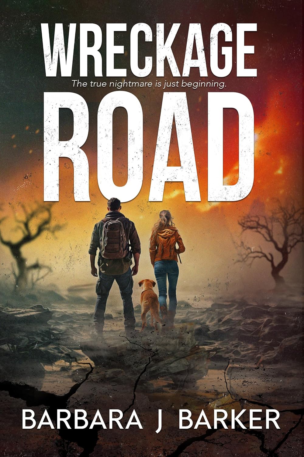 WRECKAGE ROAD: AN APOCALYPTIC THRILLER! (THE WRECKAGE SERIES Book 1)