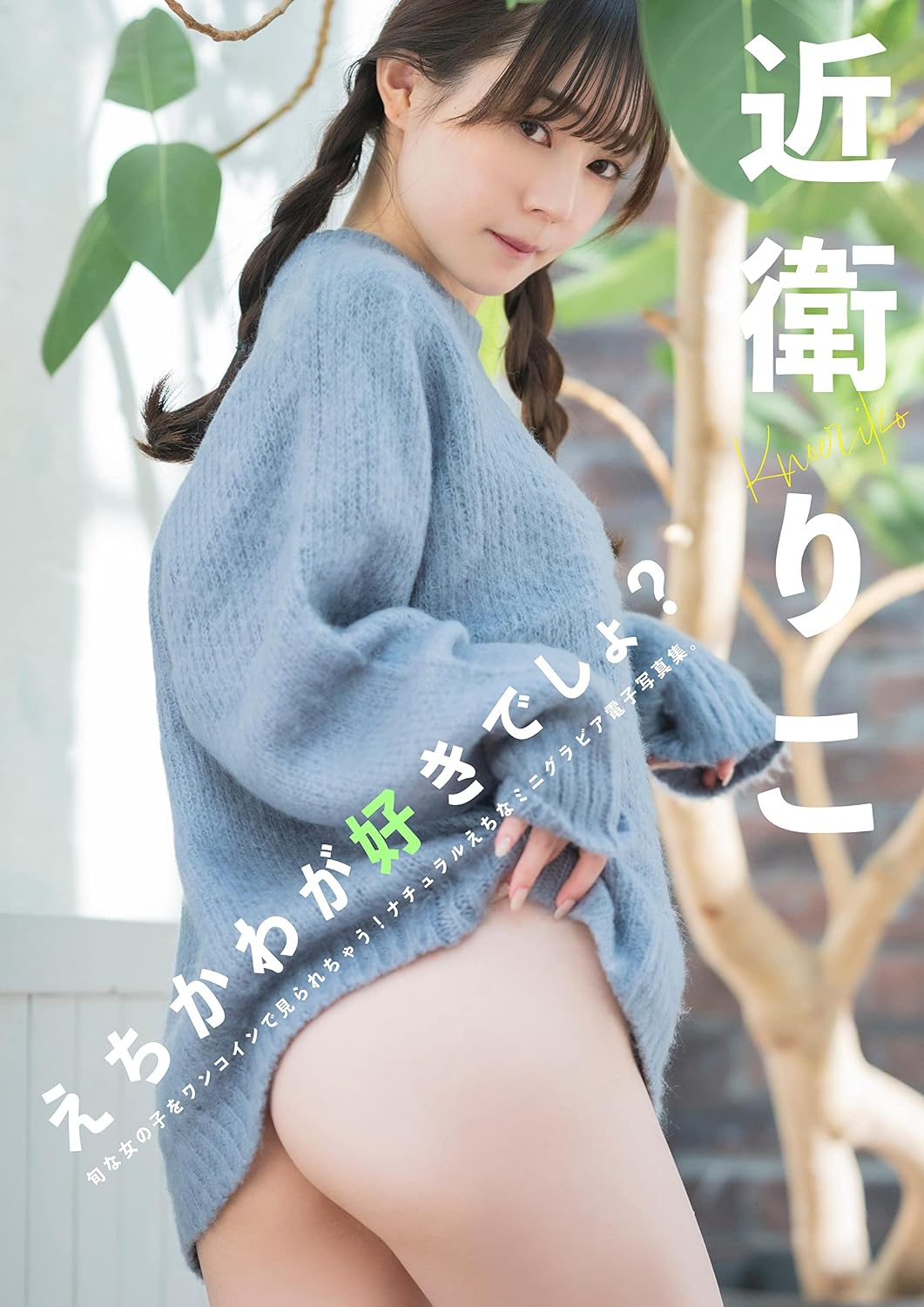 echikawagasukidesyo (wunderpublishinghouse) (Japanese Edition)