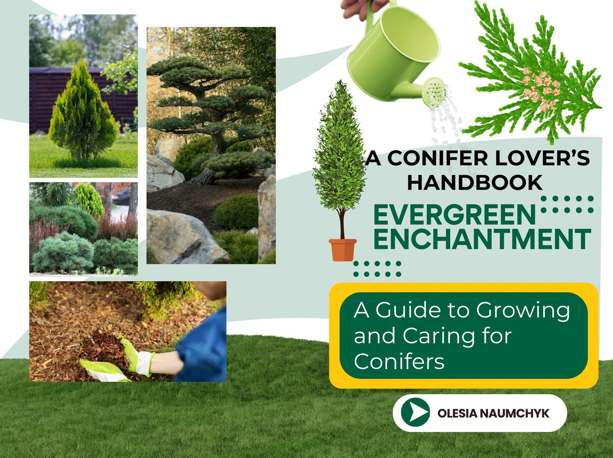 Evergreen Enchantment: A Guide to Growing and Caring for Conifers: A Conifer Lover’s Handbook