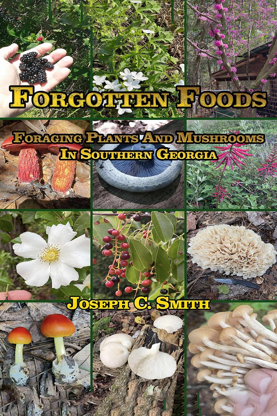 Forgotten Foods: Foraging Plants and Mushrooms in Southern Georgia