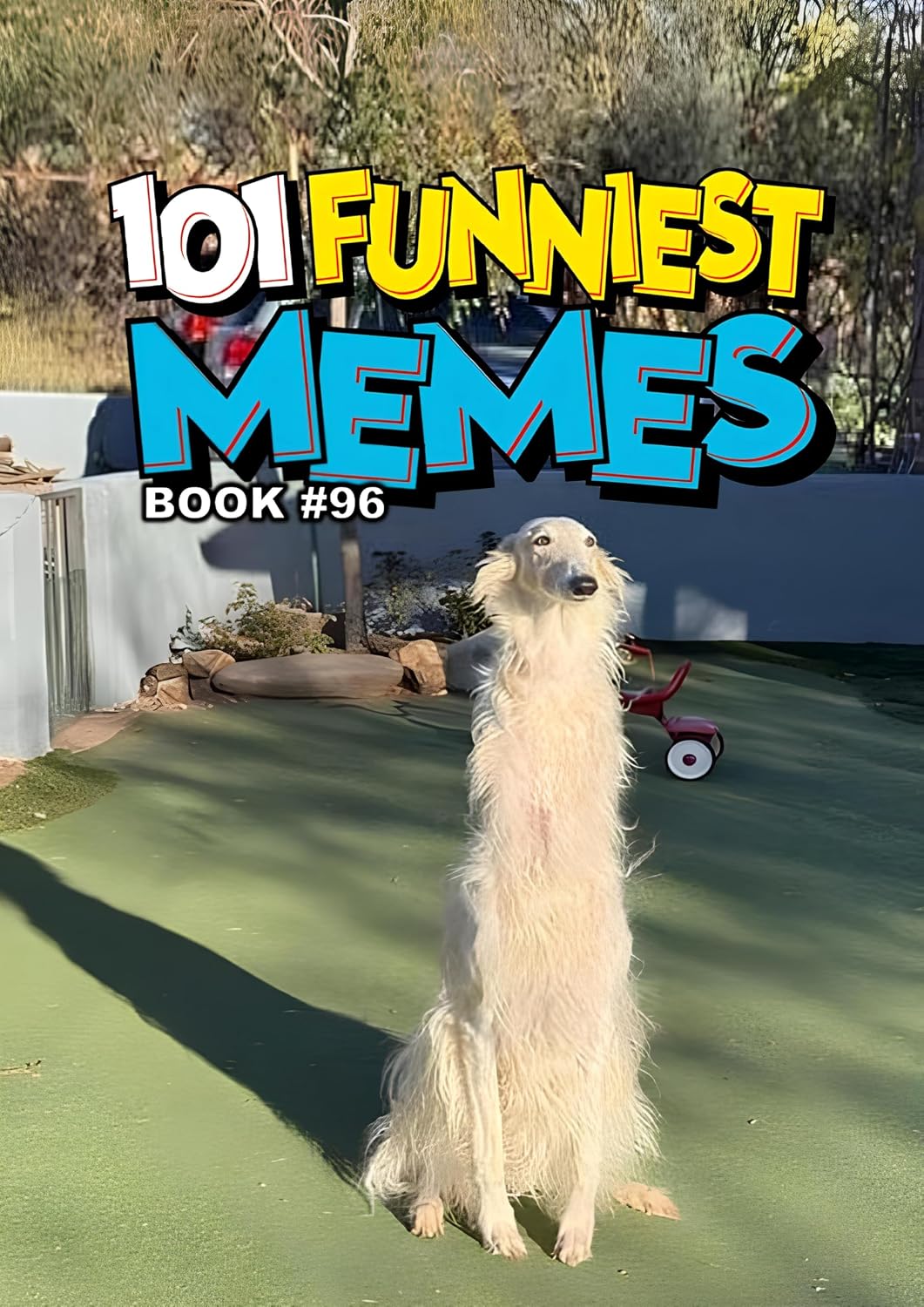 101 FUNNIEST MEMES: BOOK 96