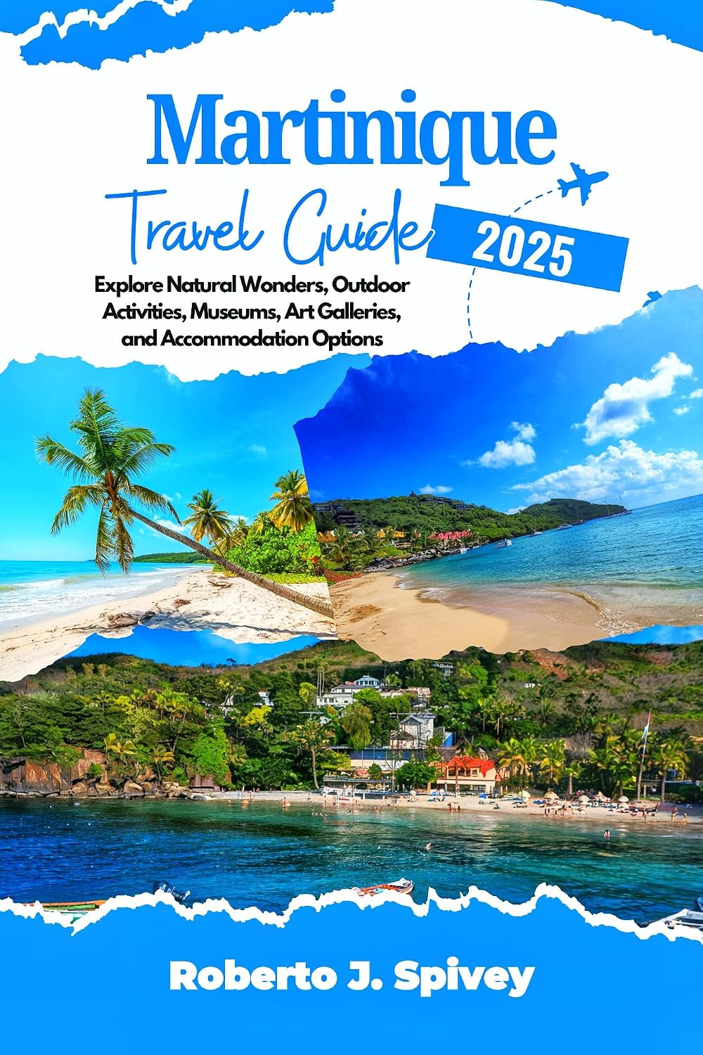 Martinique Travel Guide 2025: Explore Natural Wonders, Outdoor Activities, Museums, Art Galleries, and Accommodation Options