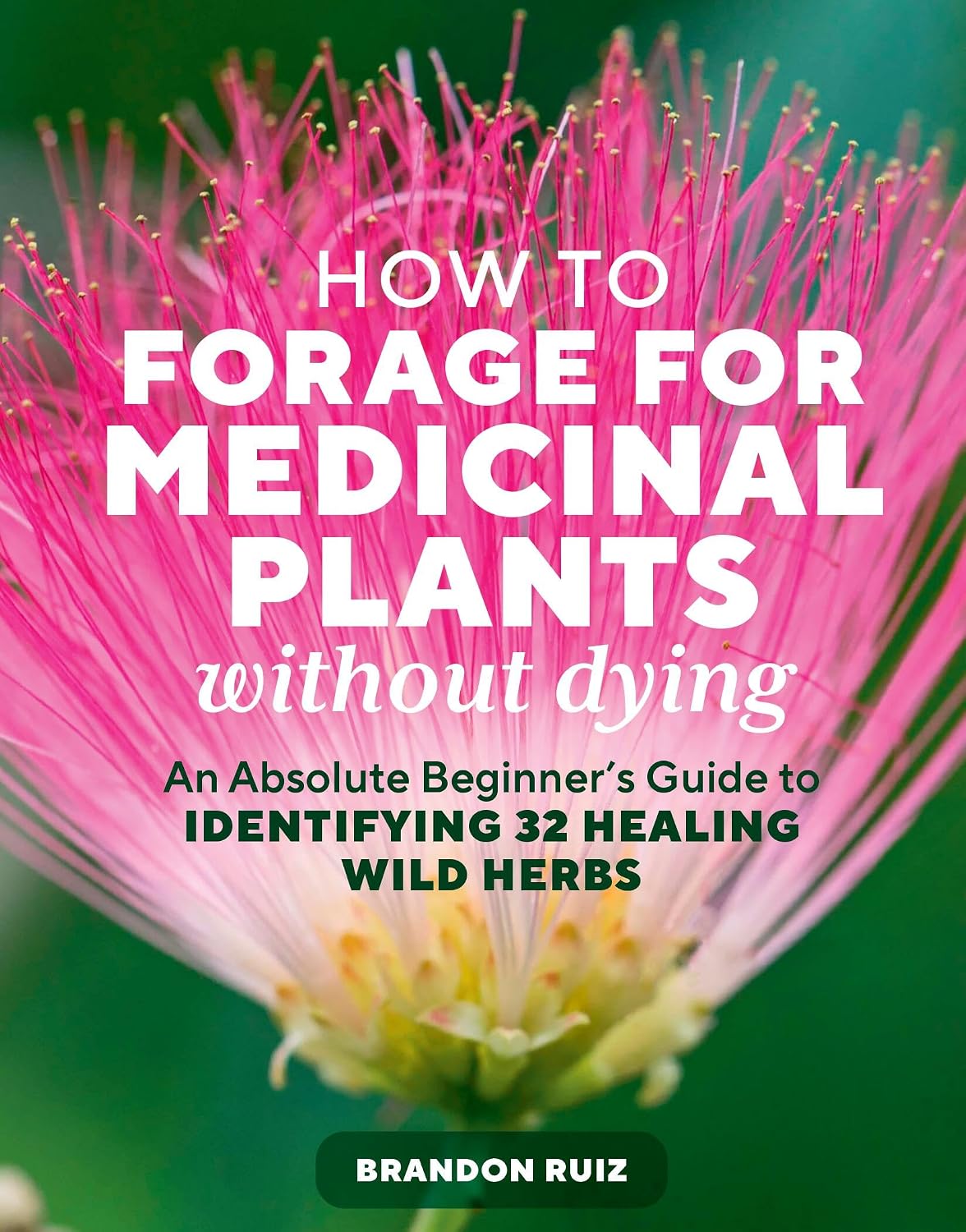 How to Forage for Medicinal Plants without Dying: An Absolute Beginner's Guide to Identifying 32 Healing Wild Herbs