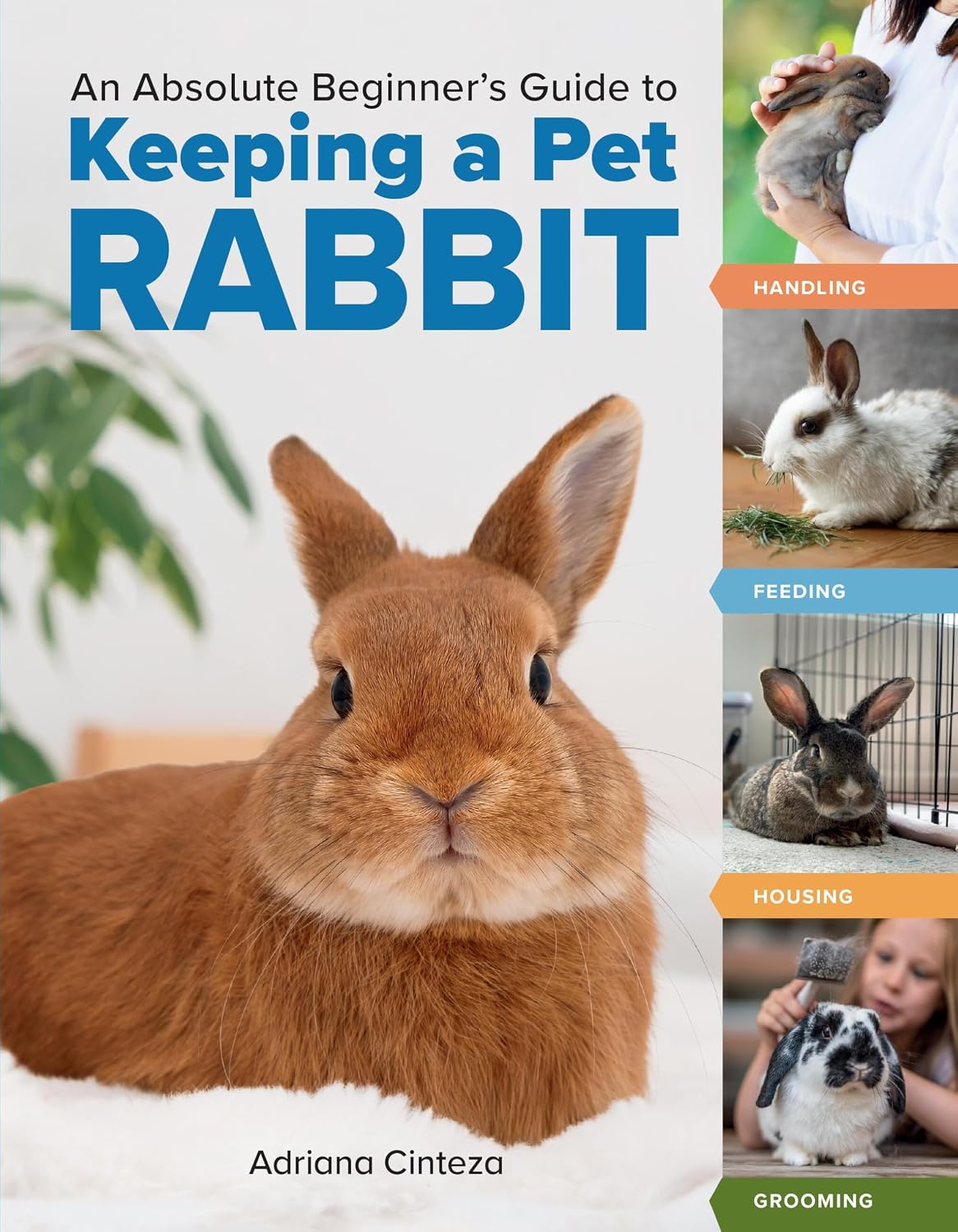 An Absolute Beginner's Guide to Keeping a Pet Rabbit: Handling, Feeding, Housing, and Grooming