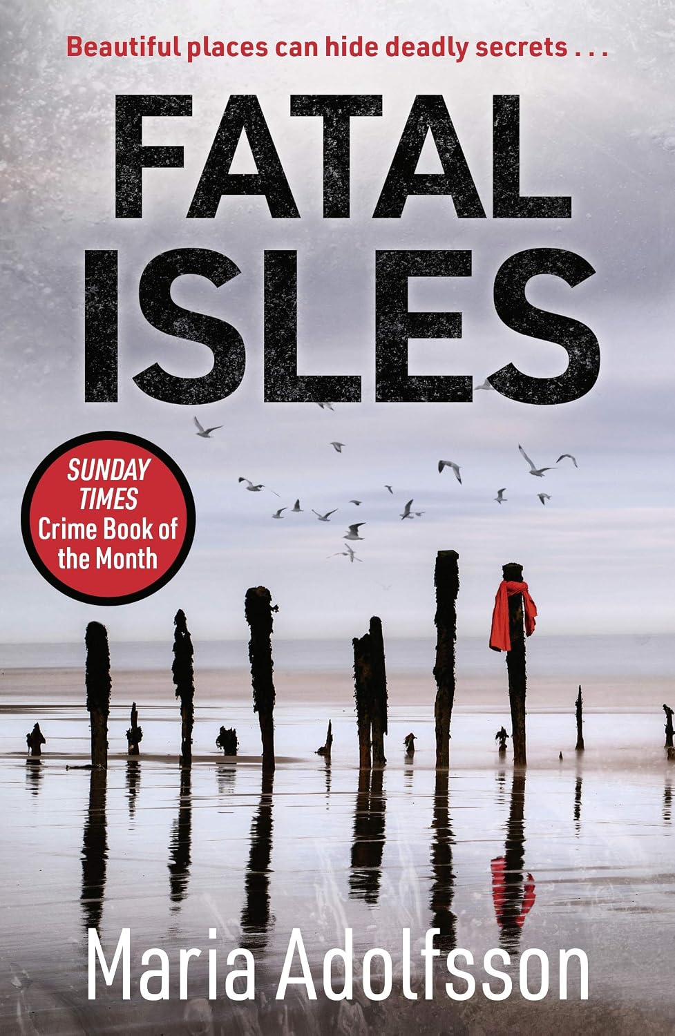 Fatal Isles: The unmissable international Scandi noir bestseller (Doggerland Book 1)