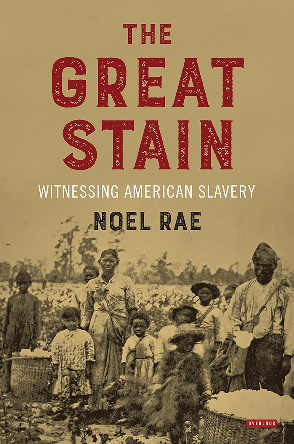 The Great Stain: Witnessing American Slavery