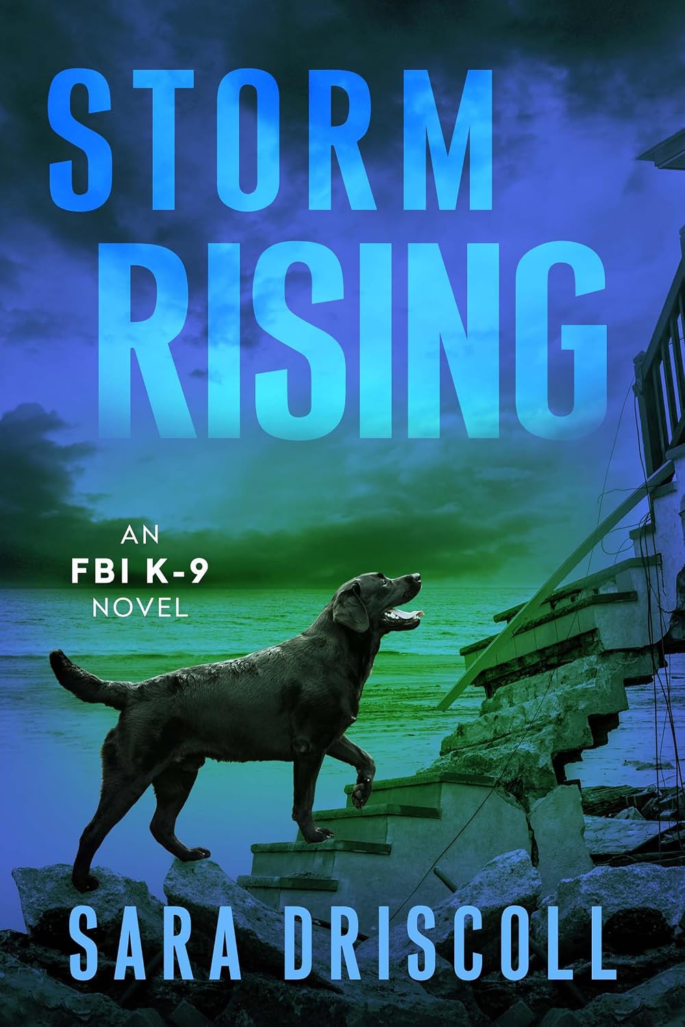 Storm Rising (An FBI K-9 Novel Book 3)
