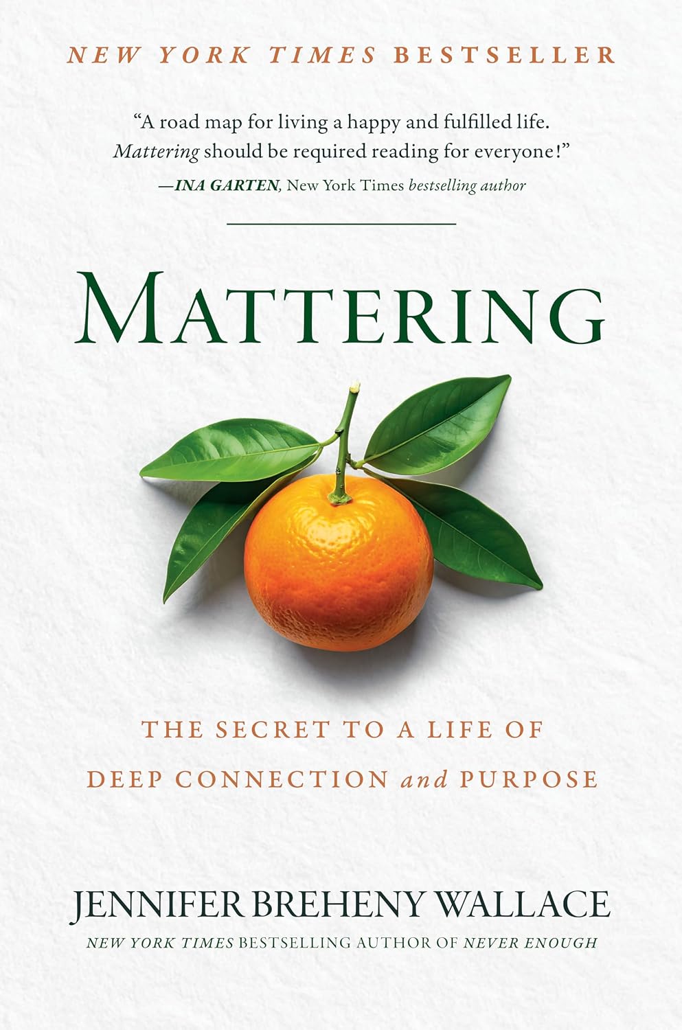 Mattering: The Secret to a Life of Deep Connection and Purpose
