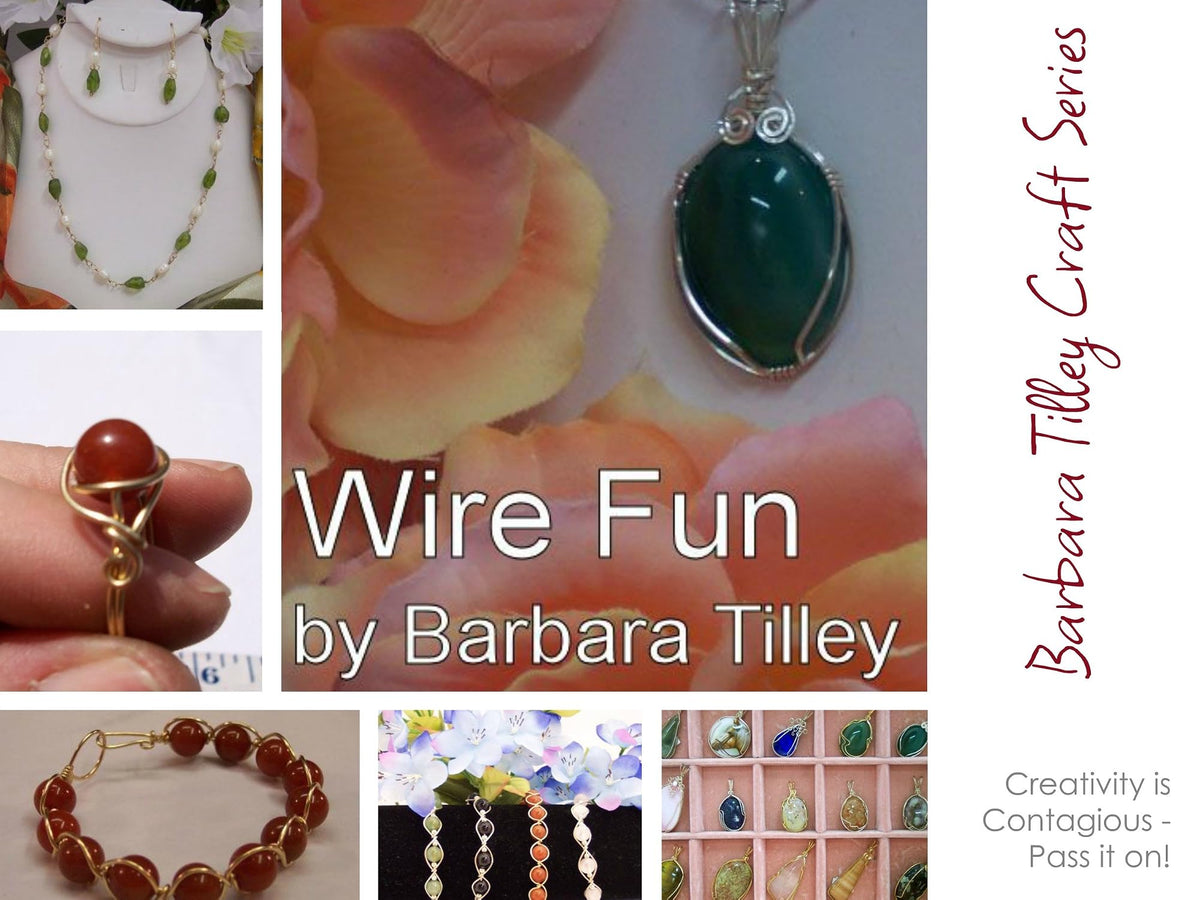 Wire Fun: A step by step guide to beginning wire wrapping (Barbara Tilley Craft Series Book 1)