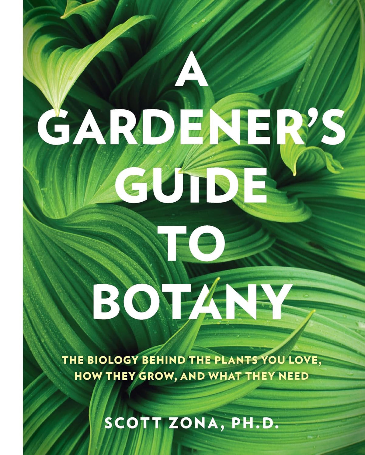 A Gardener's Guide to Botany: The biology behind the plants you love, how they grow, and what they need