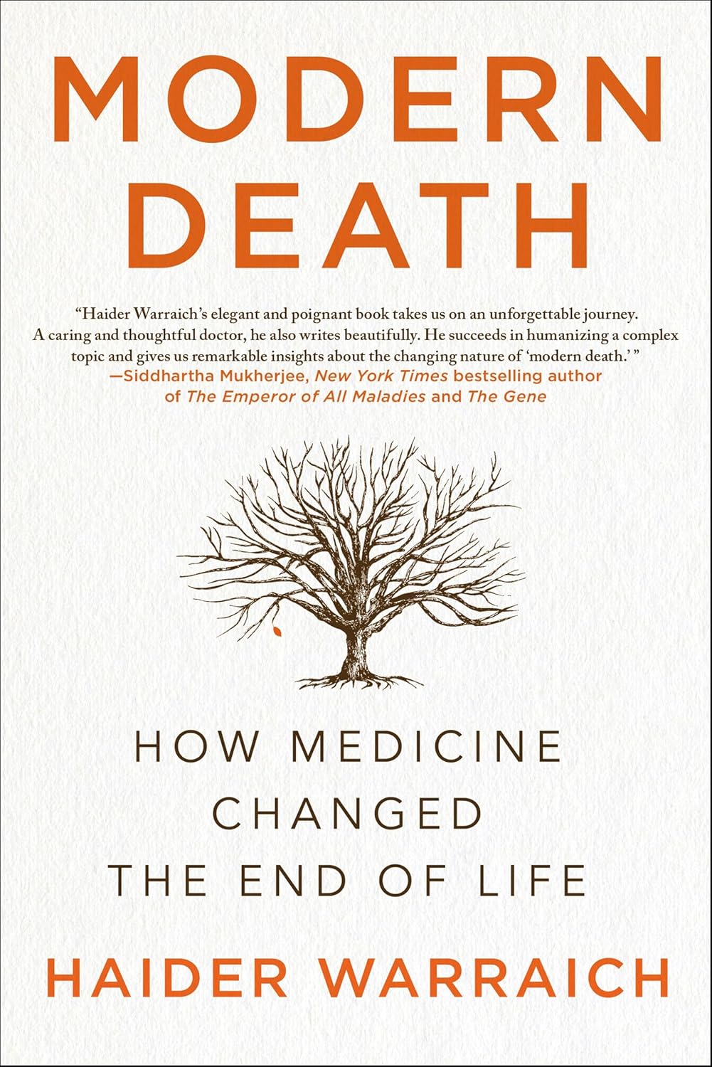 Modern Death: How Medicine Changed the End of Life
