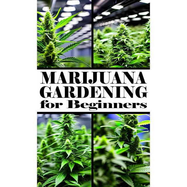 Marijuana Gardening for Beginners