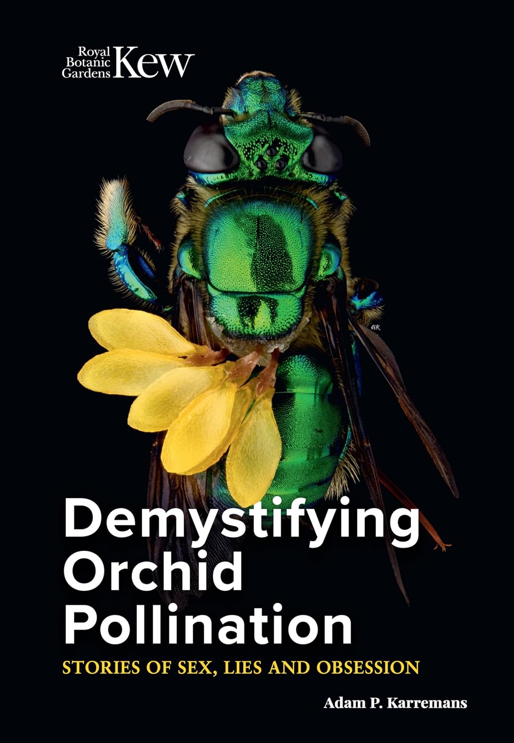 Demystifying Orchid Pollination: Stories of Sex, Lies and Obsession